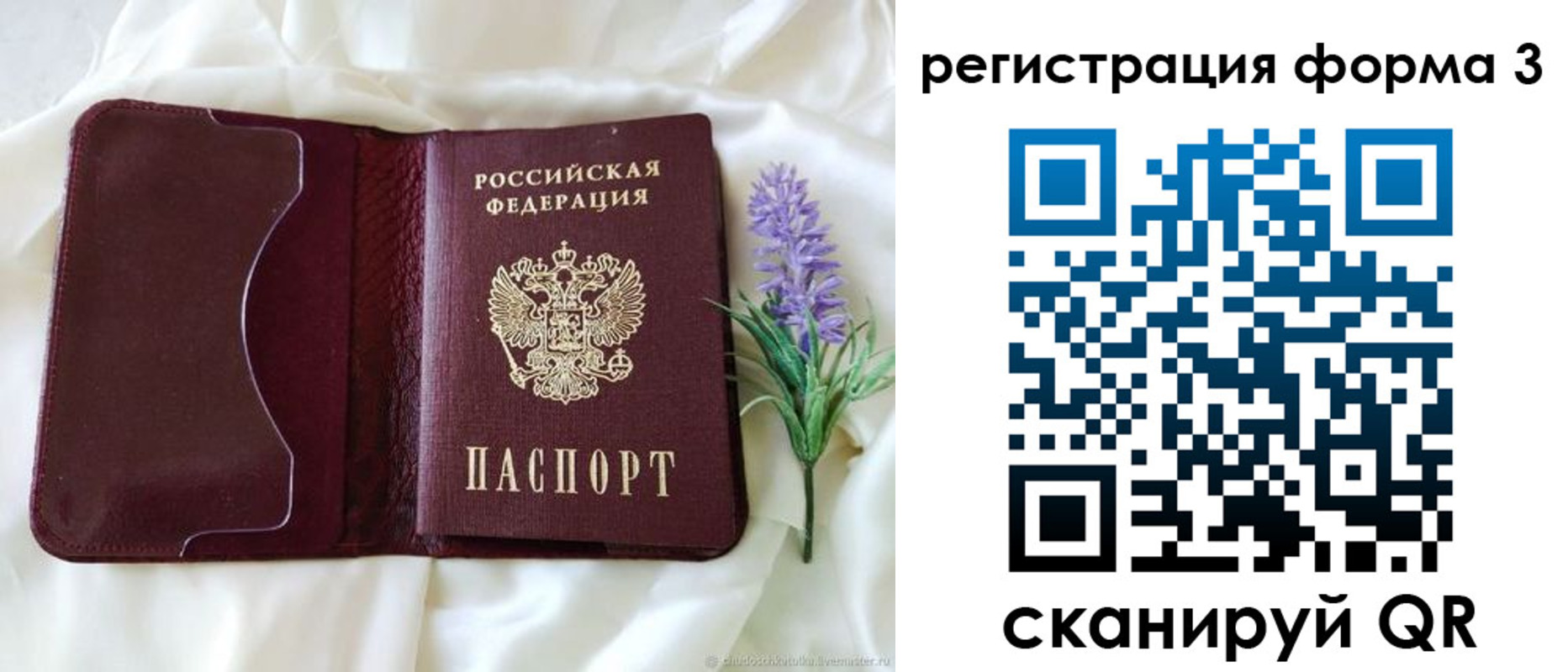 прописка 2025 в Череповце